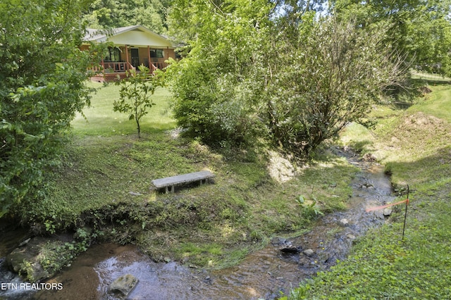 4884 Jones Cove Rd, Cosby, TN 37722 - view of grassy yard