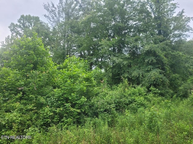LOT2R2 Mill Rd, Wartburg, TN 37887
