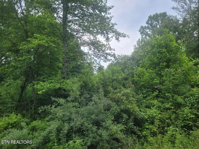 LOT2R2 Mill Rd, Wartburg, TN 37887