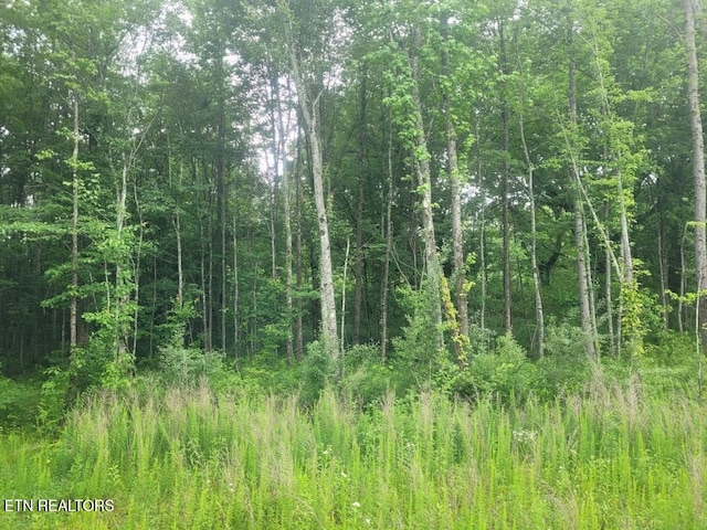 LOT2R2 Mill Rd, Wartburg, TN 37887