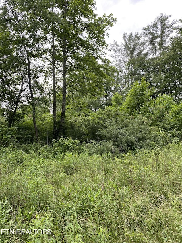 LOT2R2 Mill Rd, Wartburg, TN 37887