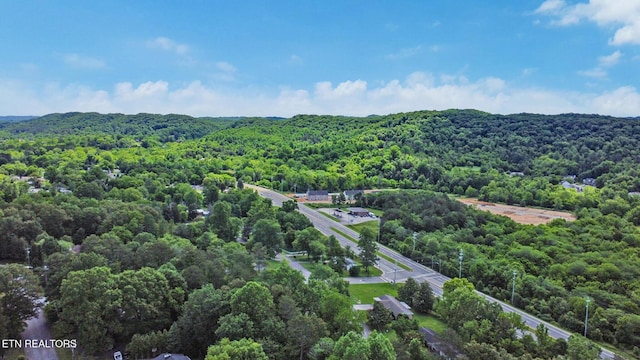 104 Maltese Ln, Oak Ridge, TN 37830 - aerial view of a forest