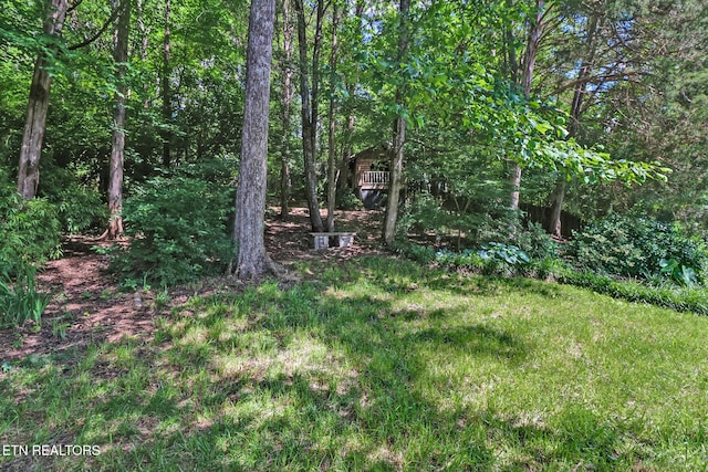 104 Maltese Ln, Oak Ridge, TN 37830 - view of yard
