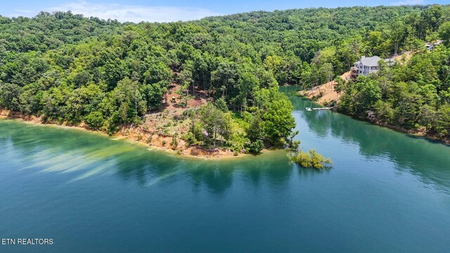 1039 Sunny Ct, White Pine, TN 37890 - photo 6