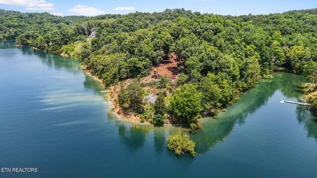 1039 Sunny Ct, White Pine, TN 37890 - photo 7
