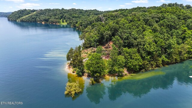 1039 Sunny Ct, White Pine, TN 37890 - photo 8