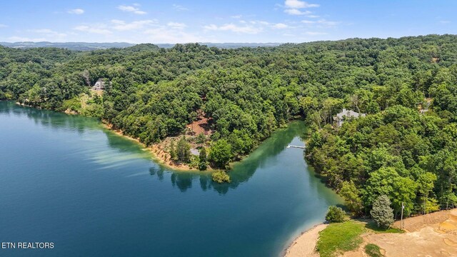 1039 Sunny Ct, White Pine, TN 37890 - photo 9