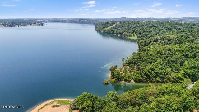 1039 Sunny Ct, White Pine, TN 37890 - photo 11