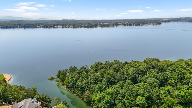 1039 Sunny Ct, White Pine, TN 37890 - photo 13