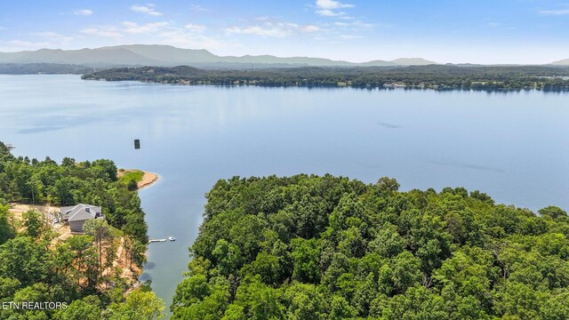 1039 Sunny Ct, White Pine, TN 37890 - photo 14