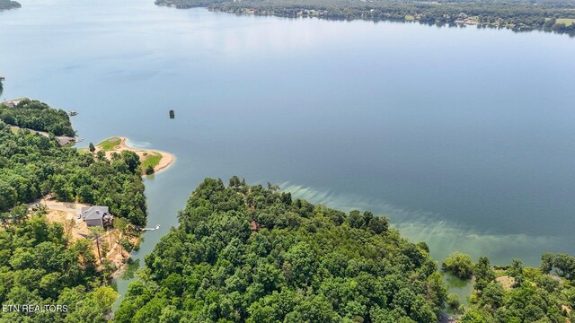 1039 Sunny Ct, White Pine, TN 37890 - photo 23