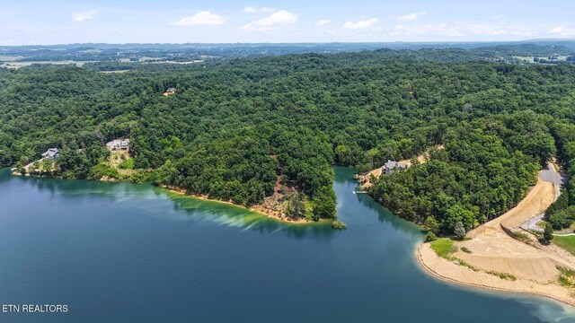 1039 Sunny Ct, White Pine, TN 37890 - photo 24