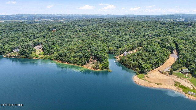 1039 Sunny Ct, White Pine, TN 37890 - photo 25