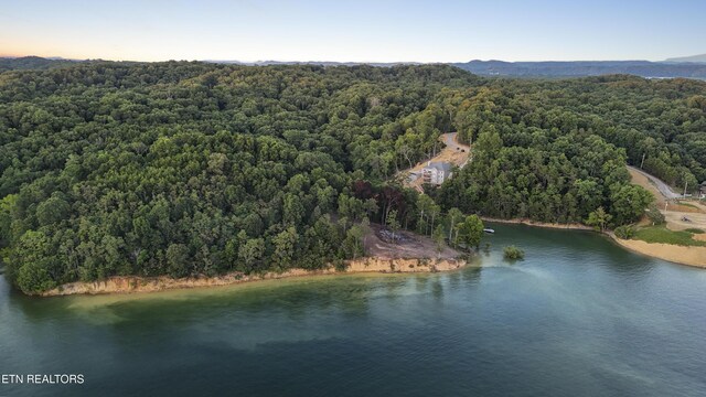1039 Sunny Ct, White Pine, TN 37890 - photo 28