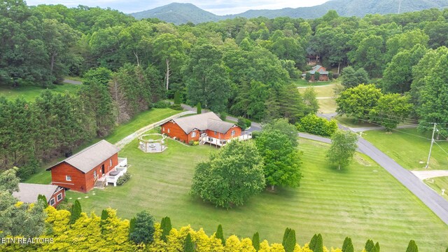 3307 Valley High Rd, Sevierville, TN 37862 - photo 38