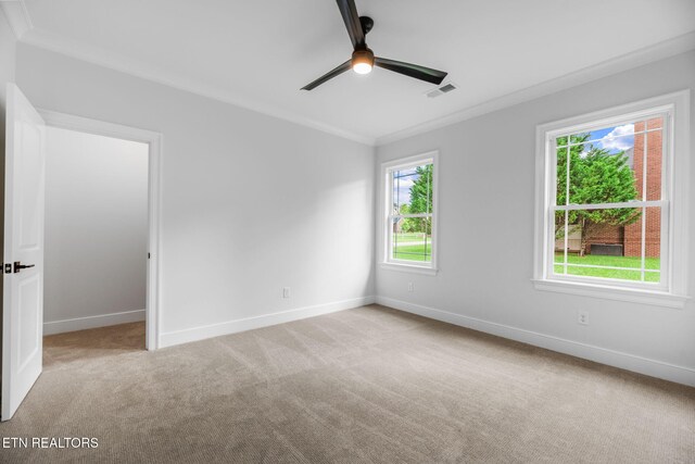 87 Royal Troon Cir, Oak Ridge, TN 37830 - photo 33