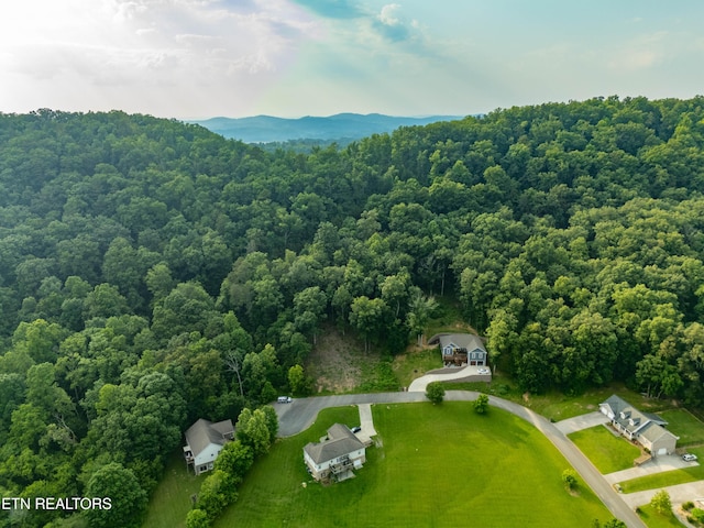 Bobbie Jean Ln, Seymour, TN 37865