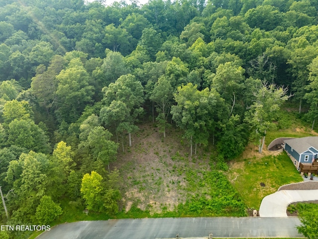 Bobbie Jean Ln, Seymour, TN 37865