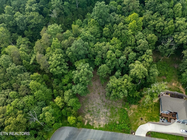 Bobbie Jean Ln, Seymour, TN 37865
