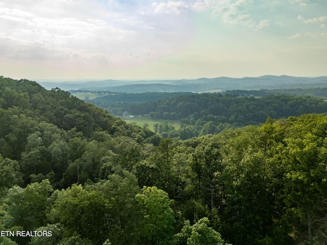 Bobbie Jean Ln, Seymour, TN 37865