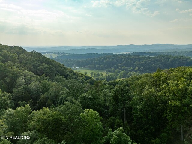 Bobbie Jean Ln, Seymour, TN 37865