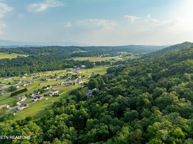 Bobbie Jean Ln, Seymour, TN 37865