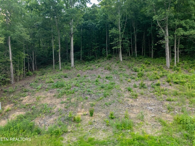 Bobbie Jean Ln, Seymour, TN 37865