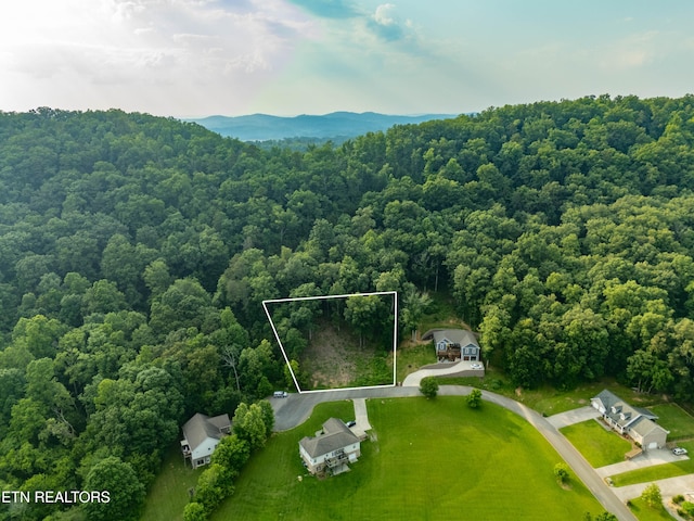 Bobbie Jean Ln, Seymour, TN 37865