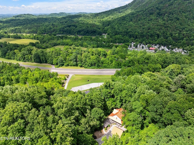 120 Kingdom Ln, Walland, TN 37886 - bird's eye view of a heavily wooded area