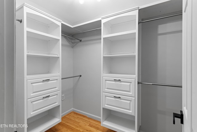 120 Kingdom Ln, Walland, TN 37886 - spacious closet with light wood finished floors