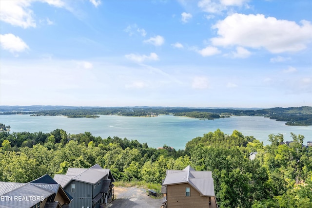 936 Lake Haven Way, Sevierville, TN 37876 - photo 46