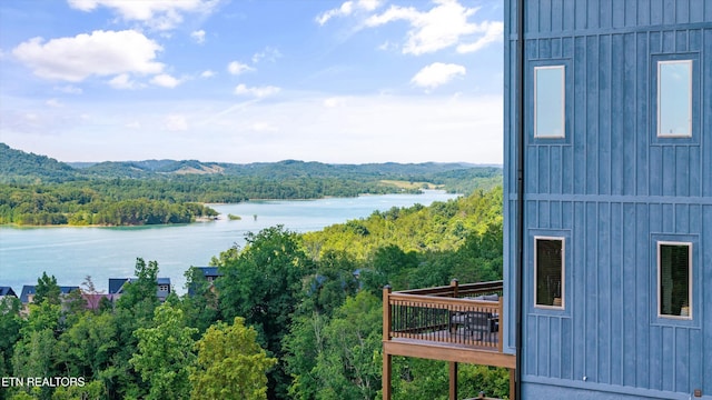 936 Lake Haven Way, Sevierville, TN 37876 - photo 60