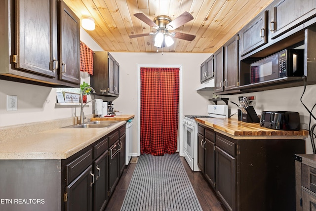 1159 Ditney Ln, Sevierville, TN 37876 - kitchen featuring white appliances, under cabinet range hood, a sink, ceiling fan, and dark wood-type flooring