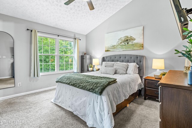 818 Vinson Ln, Knoxville, TN 37923 - photo 13