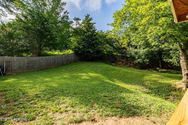 818 Vinson Ln, Knoxville, TN 37923 - photo 24