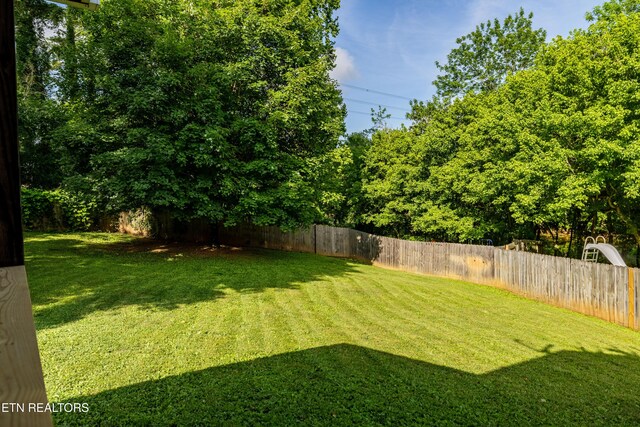 818 Vinson Ln, Knoxville, TN 37923 - photo 25