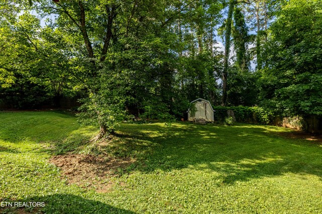 818 Vinson Ln, Knoxville, TN 37923 - photo 26