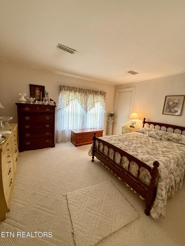 1005 Cooper Rd, Strawberry Plains, TN 37871 - photo 9