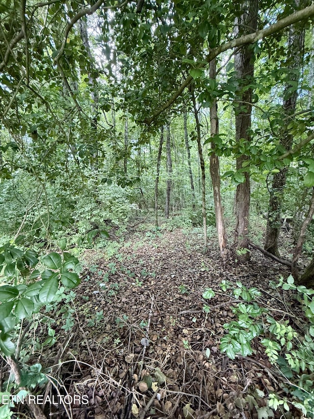 1005 Cooper Rd, Strawberry Plains, TN 37871 - photo 14