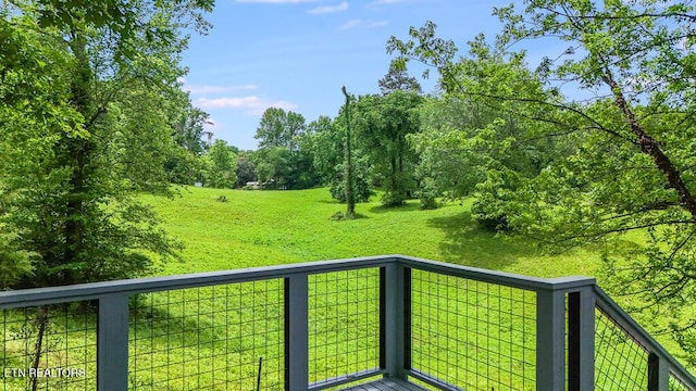 110 Courtland Ln, Clinton, TN 37716 - photo 9