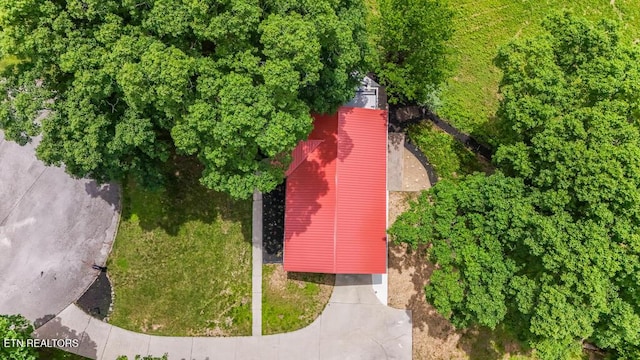 110 Courtland Ln, Clinton, TN 37716 - photo 4