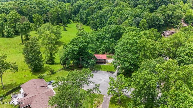 110 Courtland Ln, Clinton, TN 37716 - photo 6