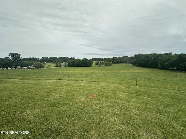 1059 Hale Rd, Dandridge, TN 37725 - view of green lawn with a rural view