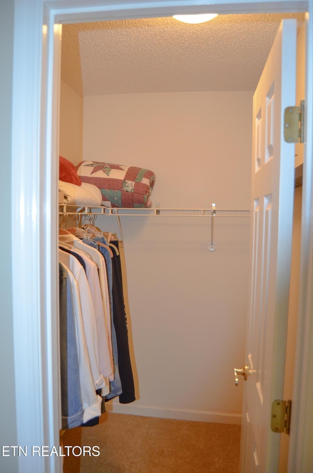 182 Scott Creek Rd, Crossville, TN 38571 - photo 24