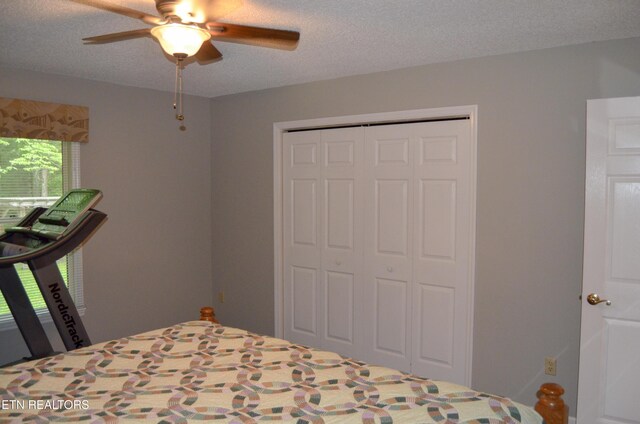 182 Scott Creek Rd, Crossville, TN 38571 - photo 25