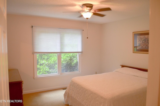 182 Scott Creek Rd, Crossville, TN 38571 - photo 28