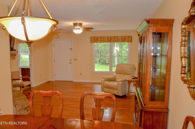182 Scott Creek Rd, Crossville, TN 38571 - photo 12