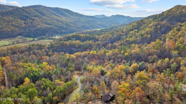 2686 Sulpher Springs Way, Sevierville, TN 37862 - photo 6