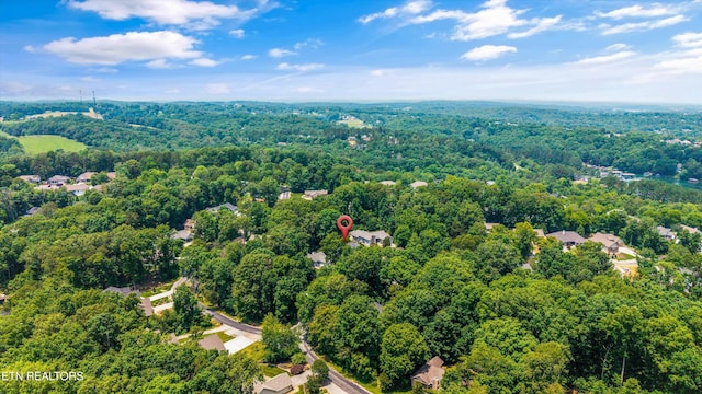 224 Ootsima Way, Loudon, TN 37774 - photo 43