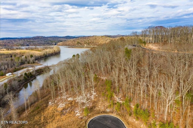 0 Twin Lakes Dr, Loudon, TN 37774 - photo 4